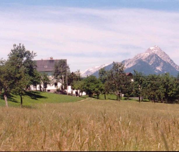 Ferienhof Kreilgut Rossleithen Exterior foto